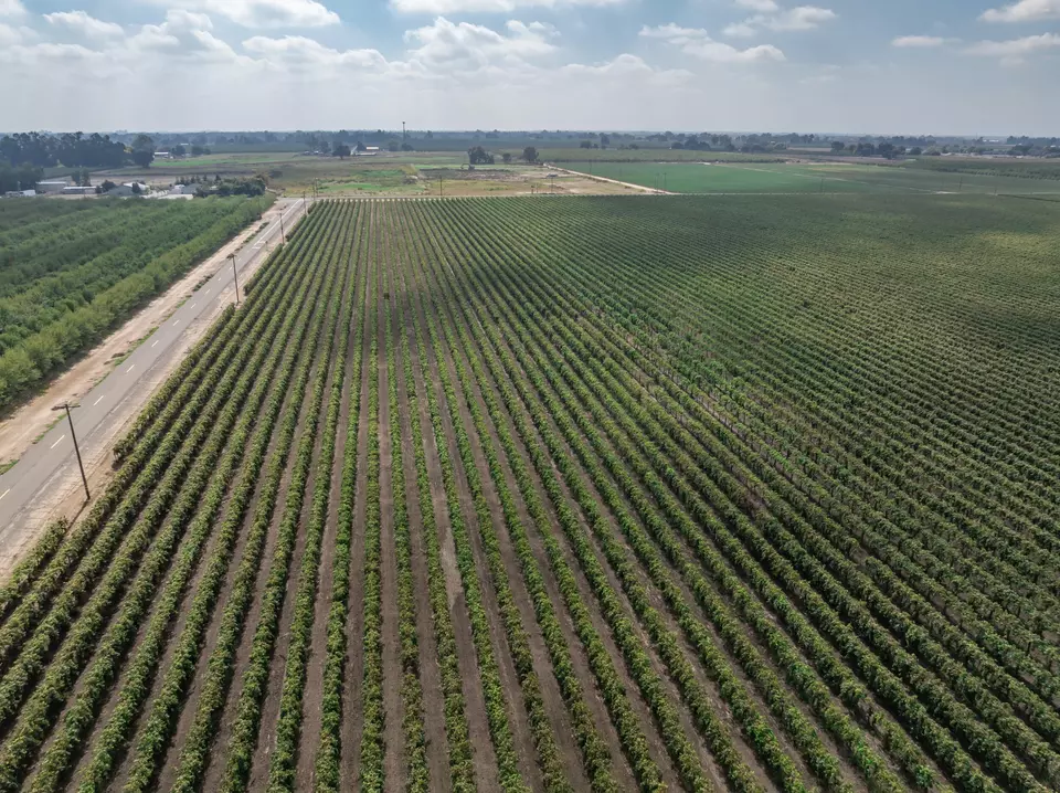  21846 Fremont Ave, Lemoore, CA 93245 photo 8