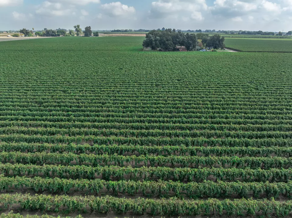  21846 Fremont Ave, Lemoore, CA 93245 photo 4