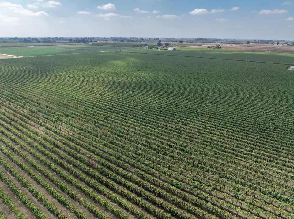  21846 Fremont Ave, Lemoore, CA 93245 photo 15