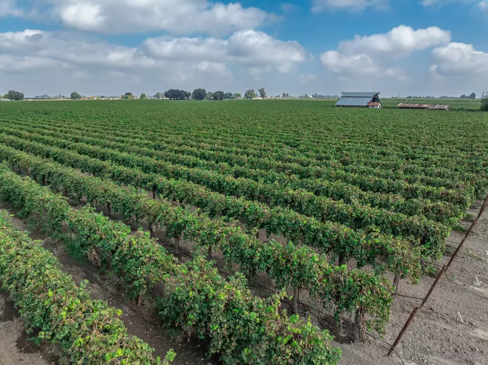  21846 Fremont Ave, Lemoore, CA 93245 photo 19