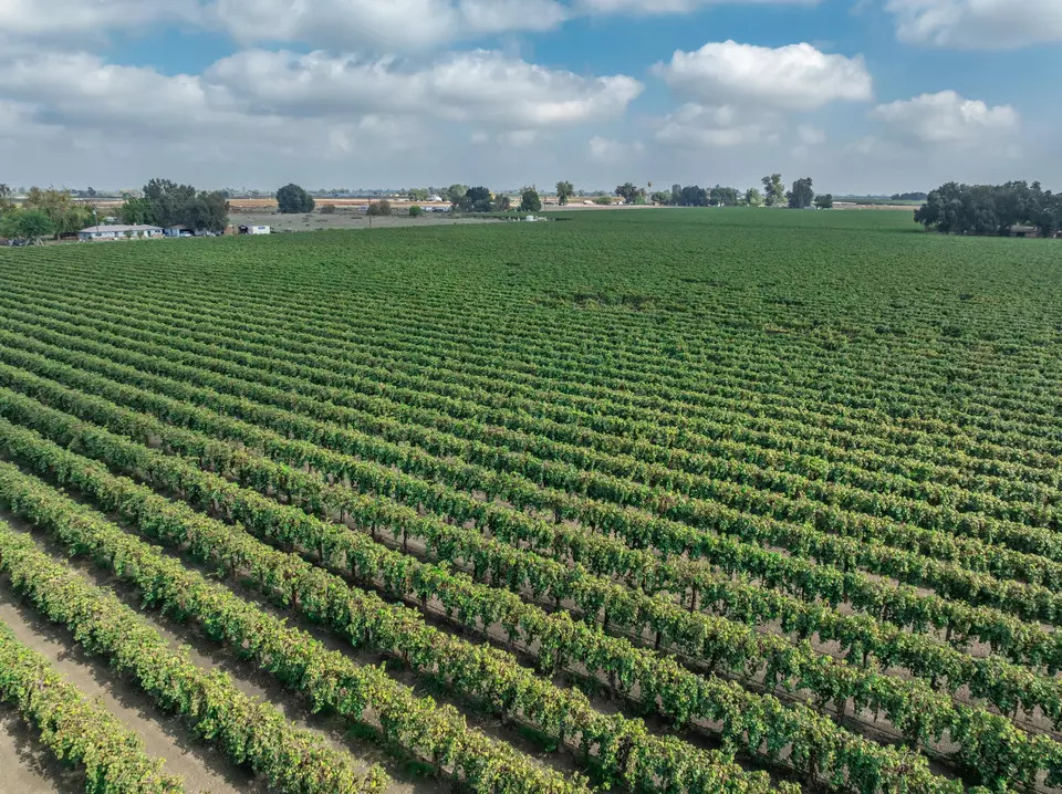  21846 Fremont Ave, Lemoore, CA 93245 photo 3