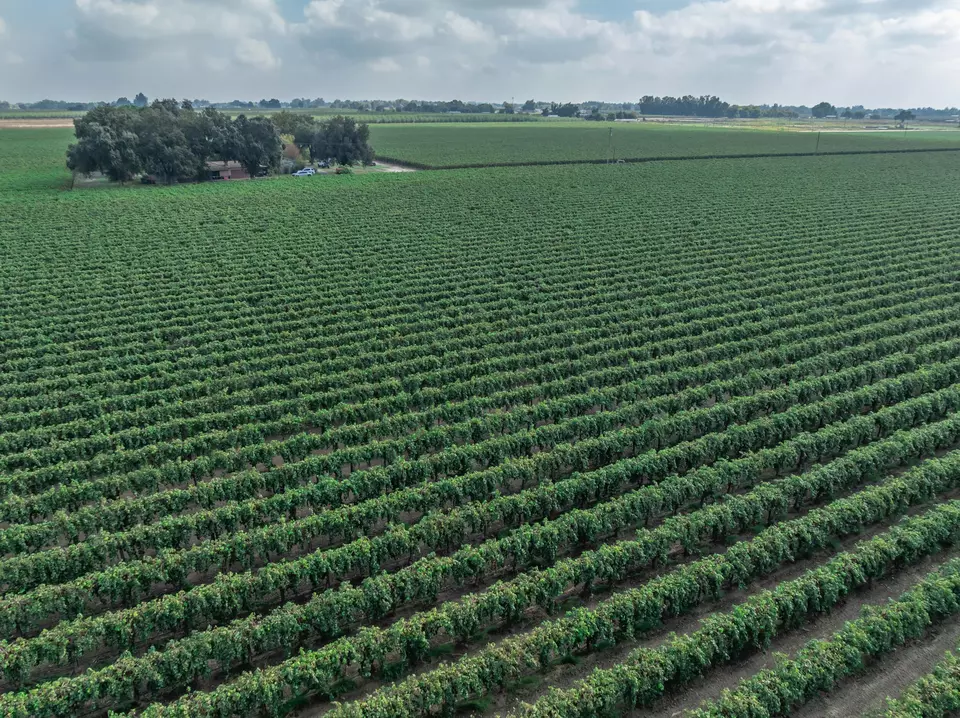  21846 Fremont Ave, Lemoore, CA 93245 photo 6