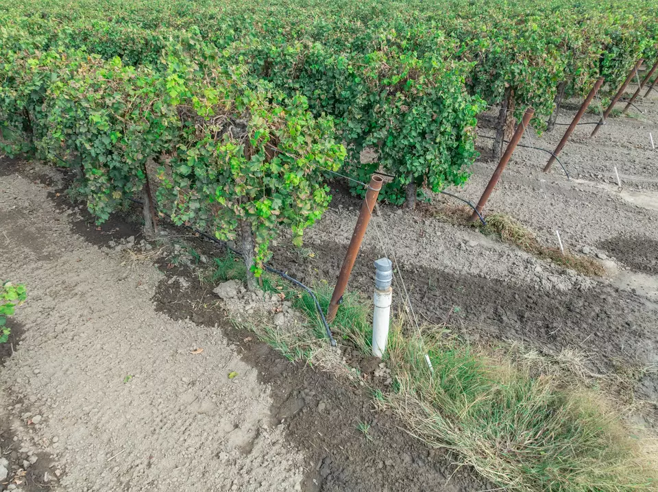  21846 Fremont Ave, Lemoore, CA 93245 photo 18