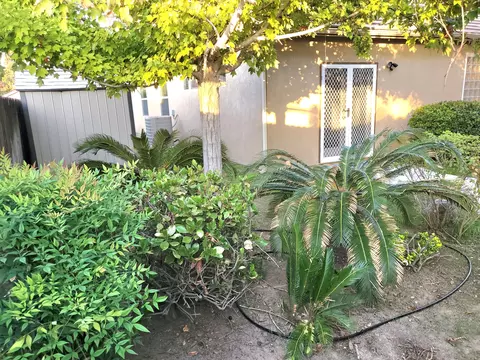 Exterior - 2447 S Beech Dr, Visalia, CA 93292 photo 10 of 12