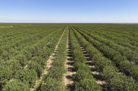 Other - Palm Avenue, Wasco, CA 93280 photo 7 of 11