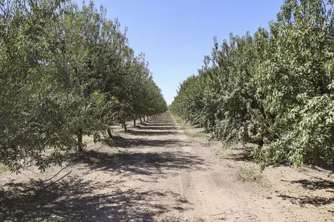 Other - Palm Avenue, Wasco, CA 93280 photo 8 of 11