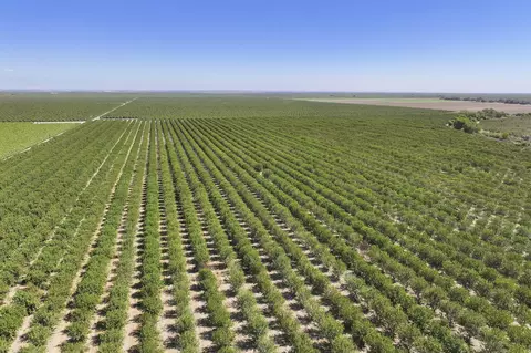 Other - Palm Avenue, Wasco, CA 93280 photo 2 of 11