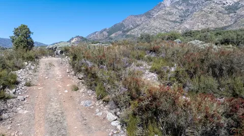 Blue Ridge Drive, Springville, CA 93265
