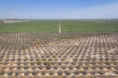 Ave. 72, Earlimart, CA 93219 photo 2