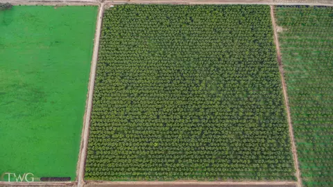 Ave 252, Tulare, CA 93274 photo 7
