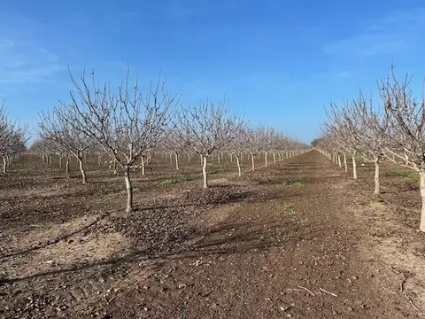 Ave 100, Terra Bella, CA 93270