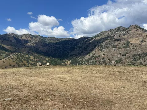 Sierra Drive, Three Rivers, CA 93271 photo 14