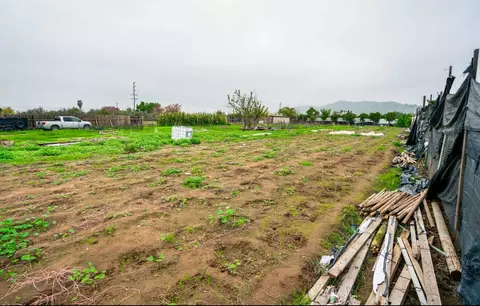 22453 Ave 314, Exeter, CA 93221 photo 10