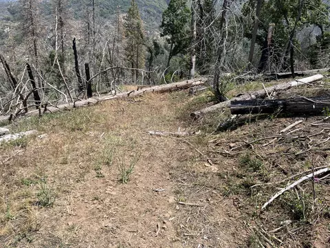 0 Balch Park Rd, Springville, CA 93265 photo 14