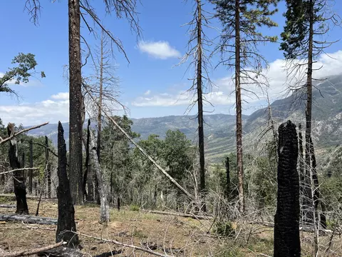 0 Balch Park Rd, Springville, CA 93265 photo 16