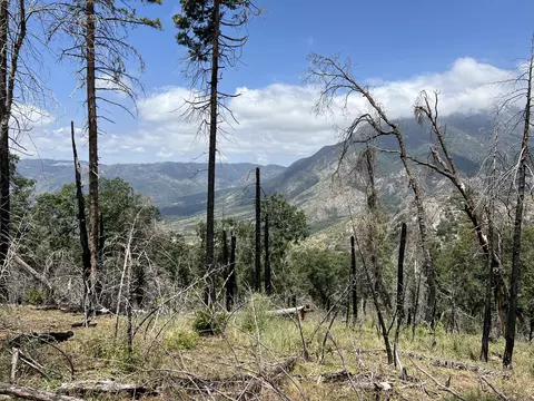 0 Balch Park Rd, Springville, CA 93265 photo 5