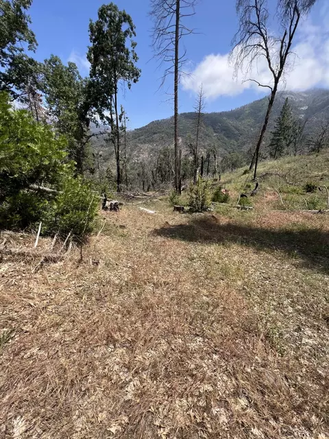 0 Balch Park Rd, Springville, CA 93265 photo 20