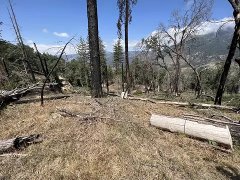 0 Balch Park Rd, Springville, CA 93265 photo 13