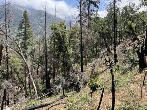 0 Balch Park Rd, Springville, CA 93265 photo 27