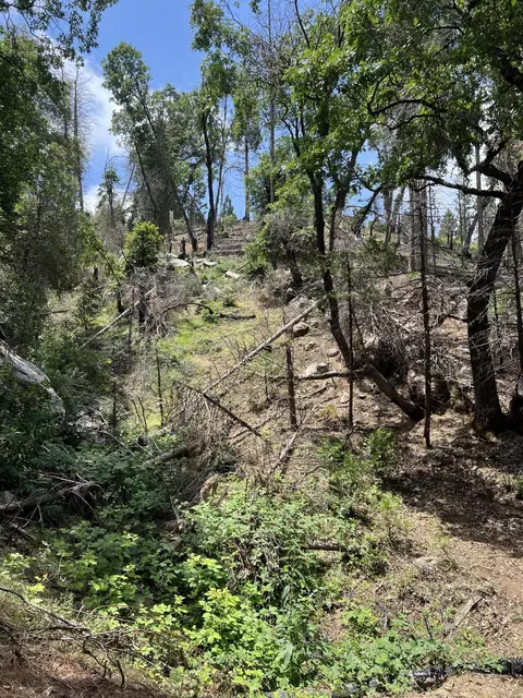 0 Balch Park Rd, Springville, CA 93265 photo 6