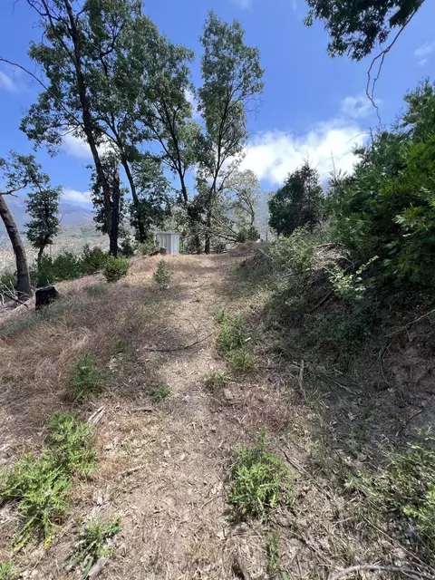 0 Balch Park Rd, Springville, CA 93265 photo 22