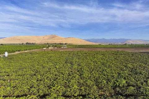 Rd. 136, Cutler, CA 93615 photo 3