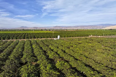 Rd. 136, Cutler, CA 93615 photo 2