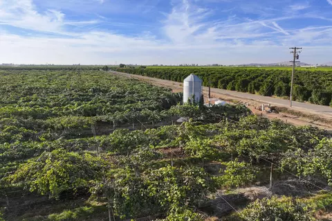 Rd. 136, Cutler, CA 93615 photo 9