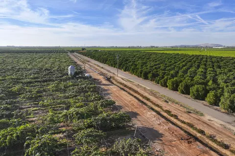 Rd. 136, Cutler, CA 93615 photo 7
