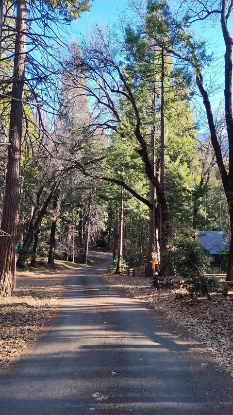 Exterior - 594 Loop Dr, Springville, CA 93265 photo 13 of 13