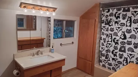 Bath - 594 Loop Dr, Springville, CA 93265 photo 3 of 3