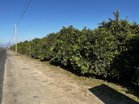 Undisclosed, Orosi, CA 93647