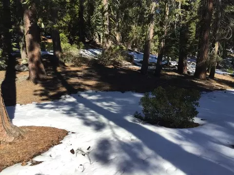 57955 Summit Dr, Ponderosa, CA 93265