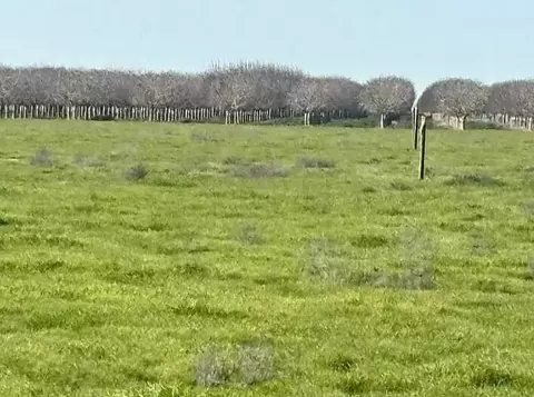 0 NW Canal, Alpaugh, CA 93201