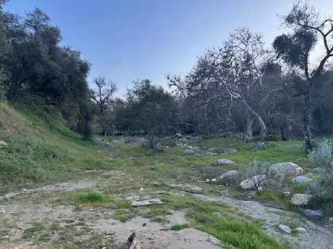 Buckhorn Trail, Three Rivers, CA 93271 photo 15