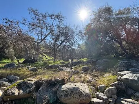 Buckhorn Trail, Three Rivers, CA 93271 photo 17