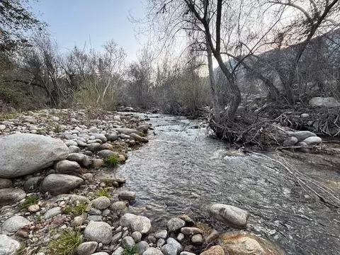 Buckhorn Trail, Three Rivers, CA 93271 photo 10