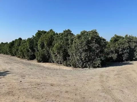 86 Avenue Ave, Terra Bella, CA 93270