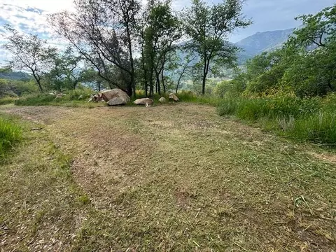 Mineral King Road, Three Rivers, CA 93271 photo 10