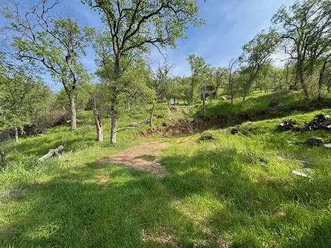 Mineral King Road, Three Rivers, CA 93271 photo 7