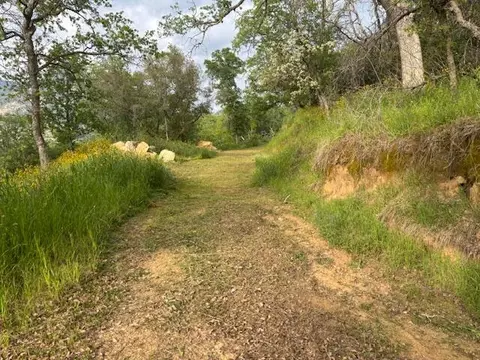 Mineral King Road, Three Rivers, CA 93271 photo 8