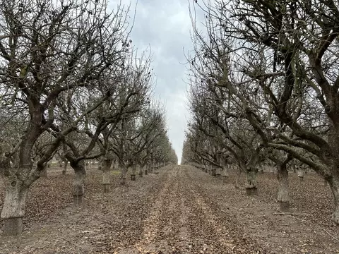 Avenue 11, Madera, CA 93636