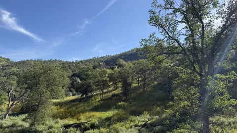 Sierra Drive, Three Rivers, CA 93271 photo 4