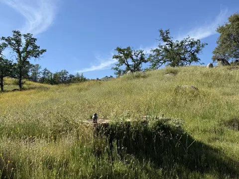 Sierra Drive, Three Rivers, CA 93271 photo 5