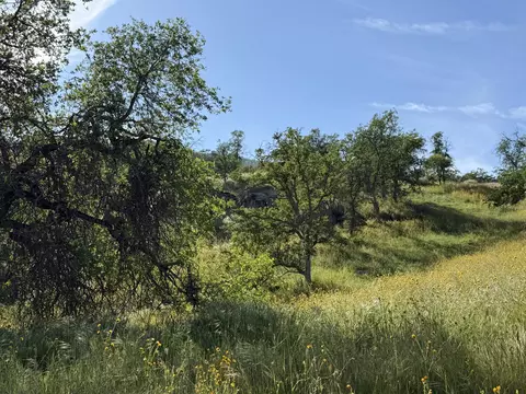 Sierra Drive, Three Rivers, CA 93271 photo 4