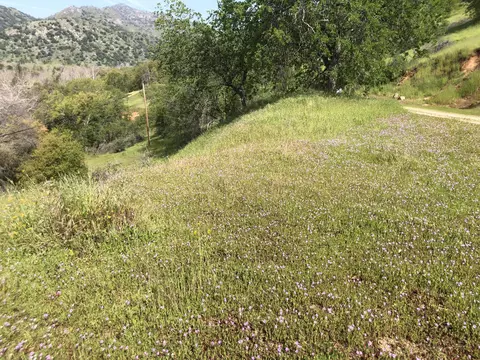 00 N Kaweah River Dr, Three Rivers, CA 93271 photo 31