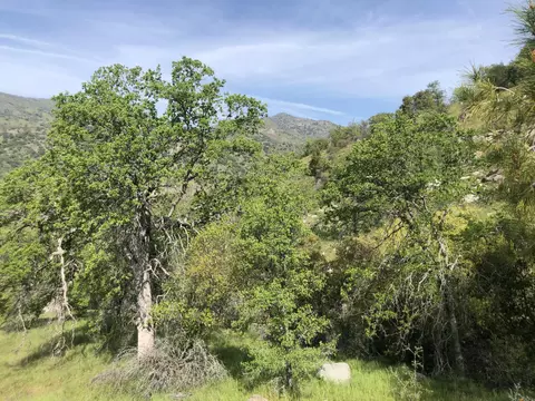 00 N Kaweah River Dr, Three Rivers, CA 93271 photo 36