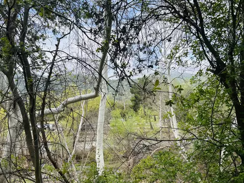 00 N Kaweah River Dr, Three Rivers, CA 93271 photo 48