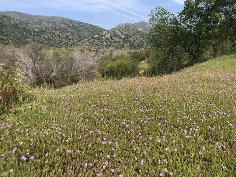 00 N Kaweah River Dr, Three Rivers, CA 93271 photo 30