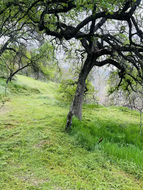 00 N Kaweah River Dr, Three Rivers, CA 93271 photo 51